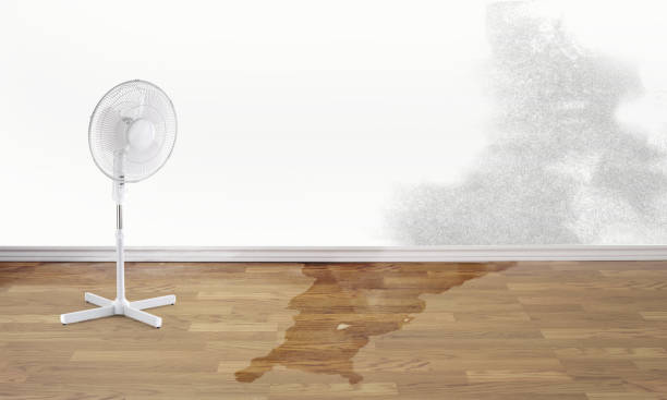 Best Residential water damage restoration  in Wesleyville, PA