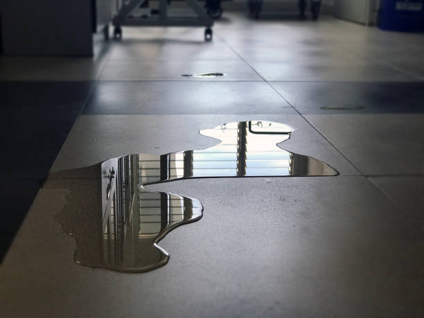 Best Water damage contractors near me  in Wesleyville, PA