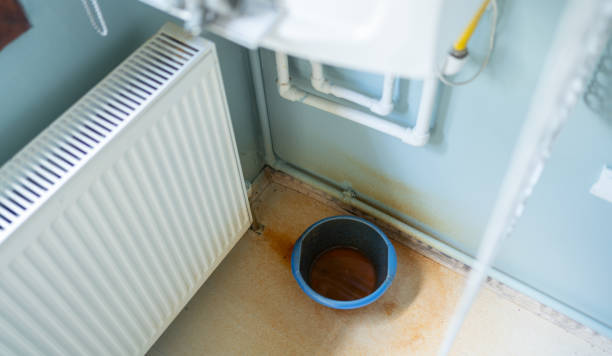 Best Carpet water damage restoration  in Wesleyville, PA