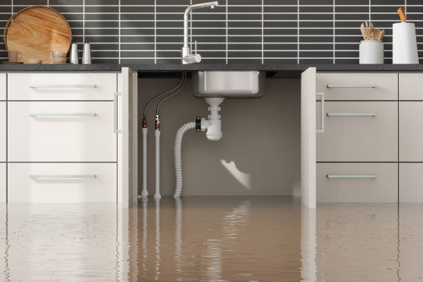 Best Flood restoration services  in Wesleyville, PA